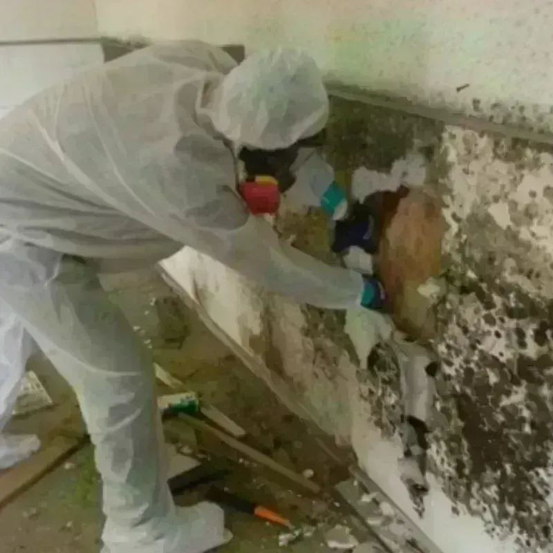 Mold Remediation and Removal in Gouverneur, NY